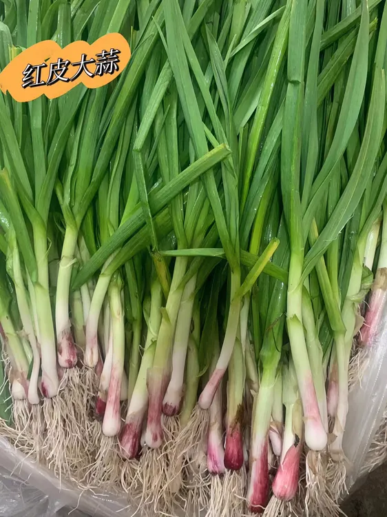 安徽无为特产新鲜大蒜叶 红皮大蒜紫皮大蒜农家种的1份包邮