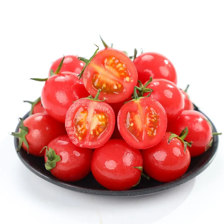 广西百色圣女果4.5-5斤小番茄 酸甜多汁YY