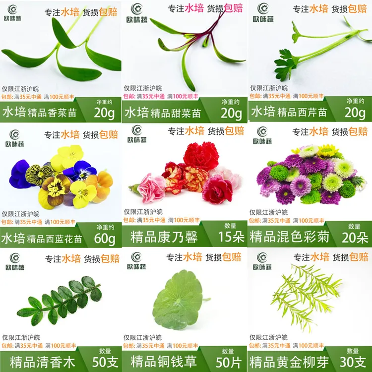 欧味蔬西餐日料冷菜新鲜盘饰苗菜花草集锦10g~30g现采