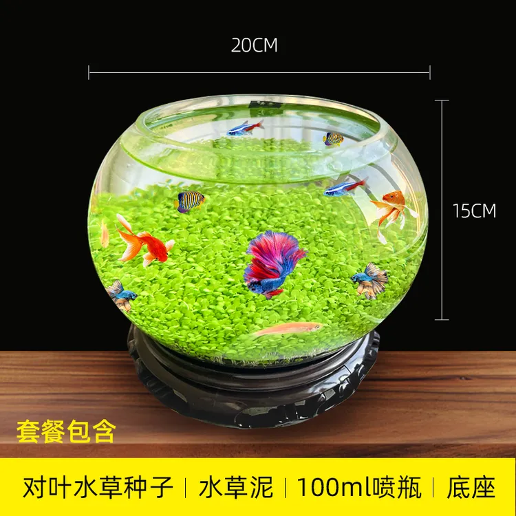 弥勒款生态草缸diy造景小型一体家用小型鱼缸办公室diy透明水培