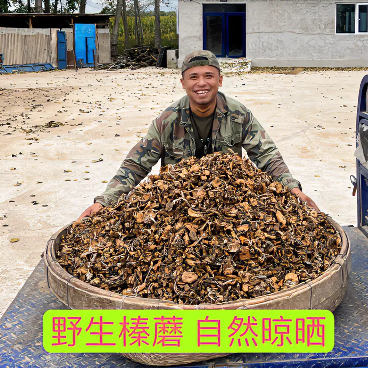 今年新货 自采自晒黑龙江野生榛蘑 无根无沙 250g半斤 500g一斤