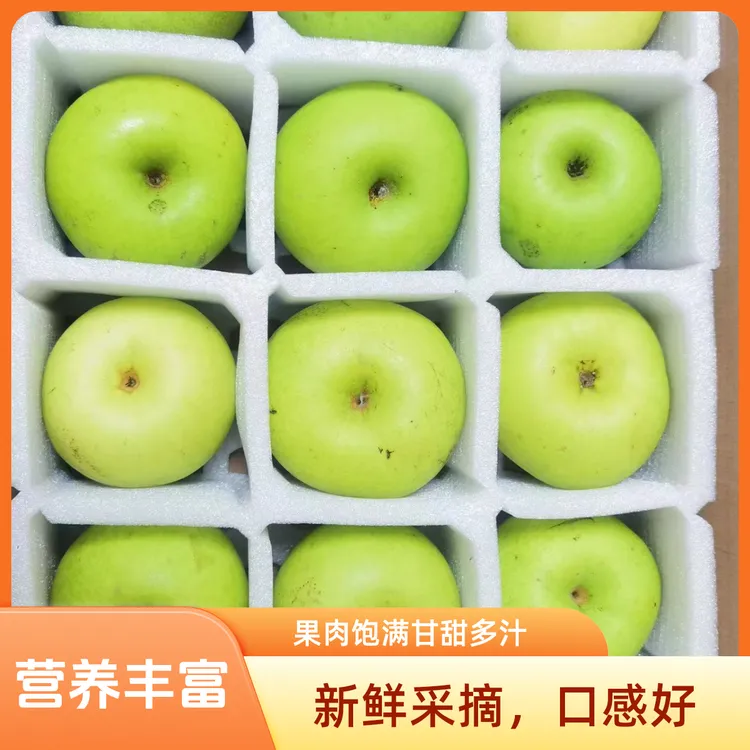 有机蜜梨中果12个礼盒装当季包邮苏翠一号—翠冠梨
