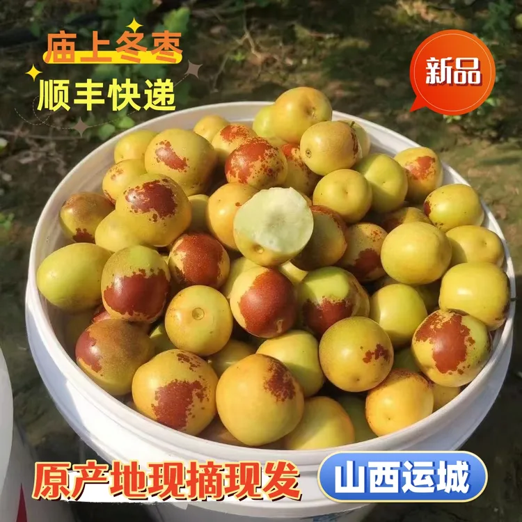 顺丰京东山西临猗庙上冬枣新鲜直发采摘脆甜美味净含量2/3/5斤