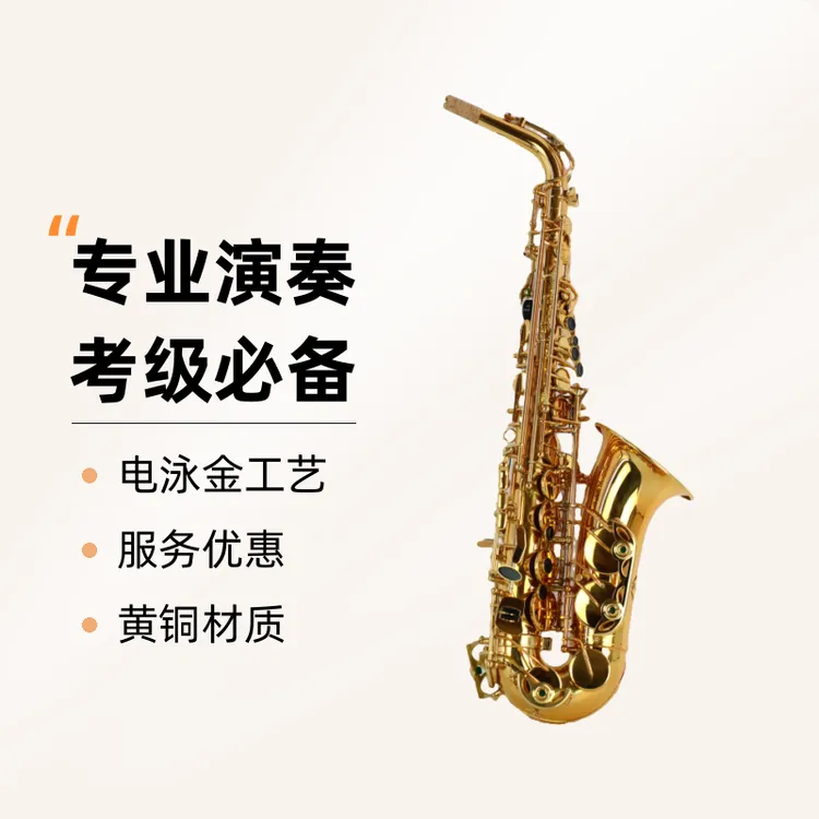 WARNERS初学者中老年通用专业演奏考级中音降E调萨克斯零基础伴奏