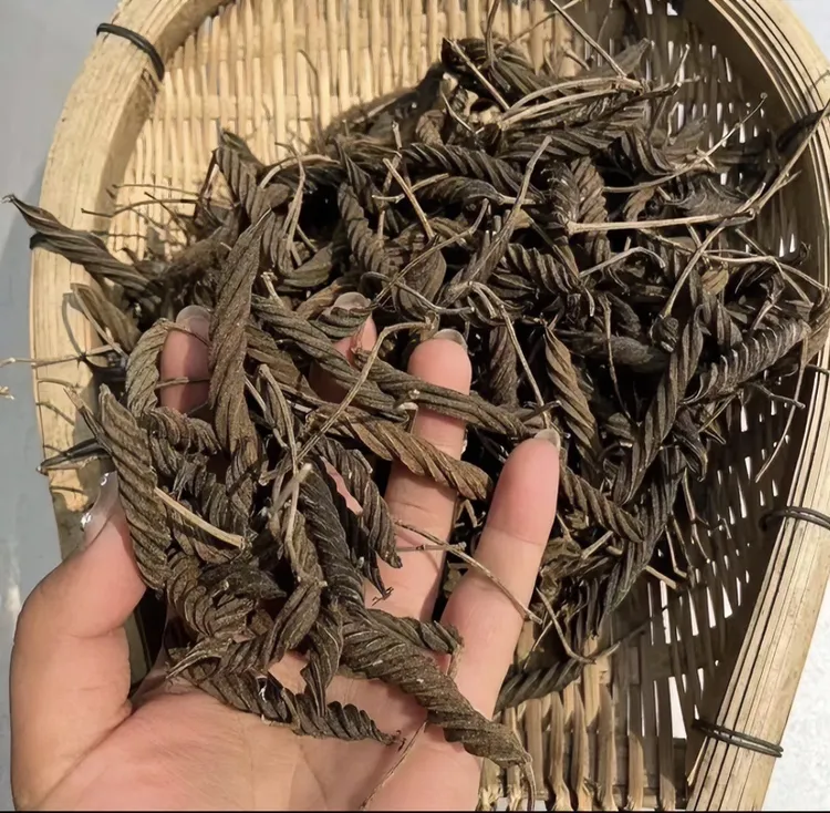 【虫草王】云南土特产农产品高山自然生长虫草王煮水枸杞泡水