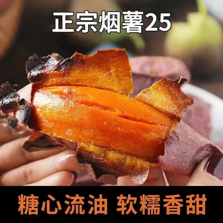 【顺丰快递 包邮到家】正宗高山沙地烟薯25号香甜5斤装自种 