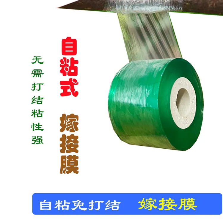 新款嫁接膜专业PE无需打结薄膜塑料薄膜缠绕膜园林果树膜高韧性膜