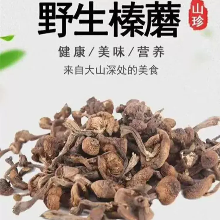 2025东北山珍长白山野生榛蘑丁手选干货新货蘑菇类250g炖小鸡佳品