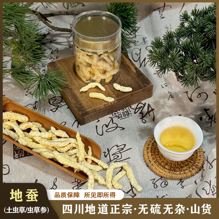 【地道山货】正宗地蚕无硫草石蚕土冬虫草参 可搭配枸杞煲汤煮水70g