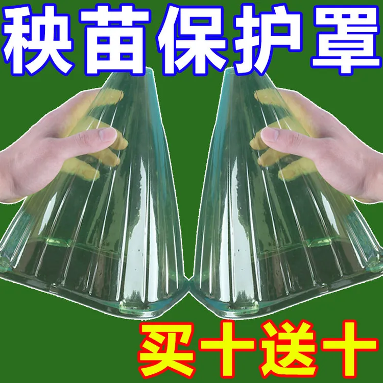 重复使用专用方形大棚使用植物钟罩免受鸟类霜冻伤害绿色育苗保护