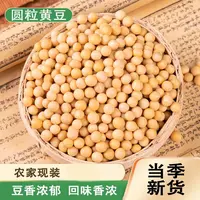 婷婷推荐  农家当季黄豆