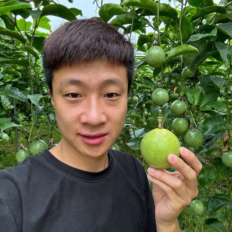 广西钦蜜9号百香果2-3斤装（顺丰）