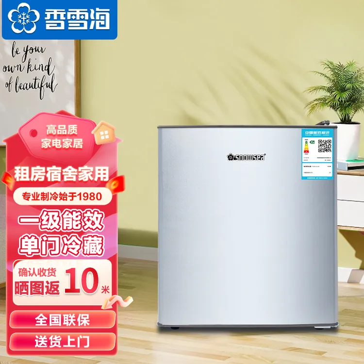 香雪海迷你小型冰箱商用小冰箱宿舍出租房便携小冰箱单门冰箱