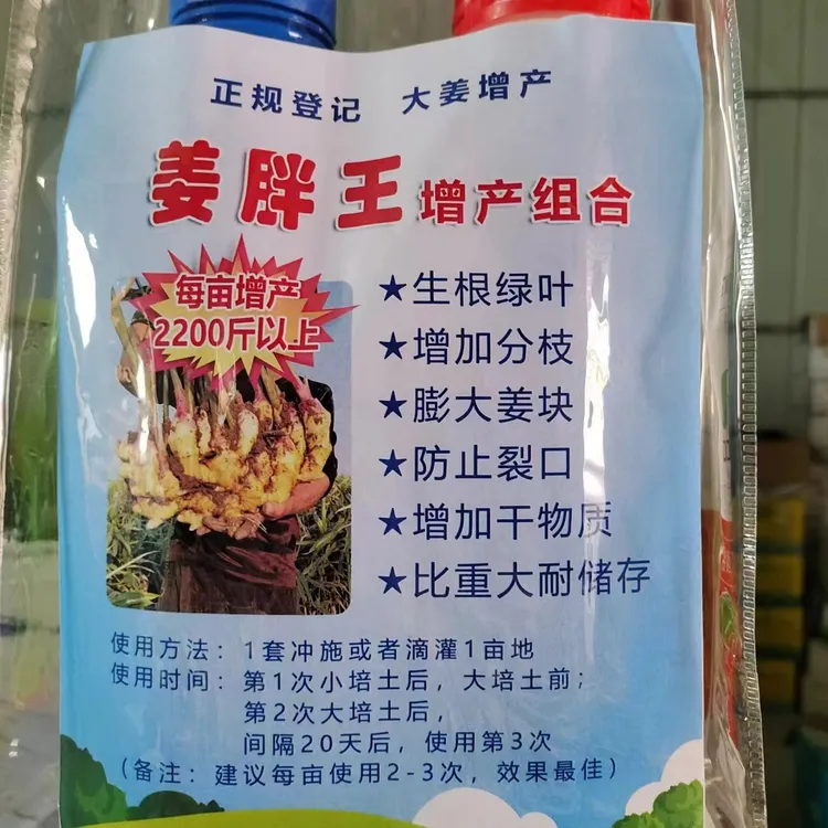 姜胖王，正规登记，大姜膨大，增产耐储存，冲施一套一亩地，增产2千斤