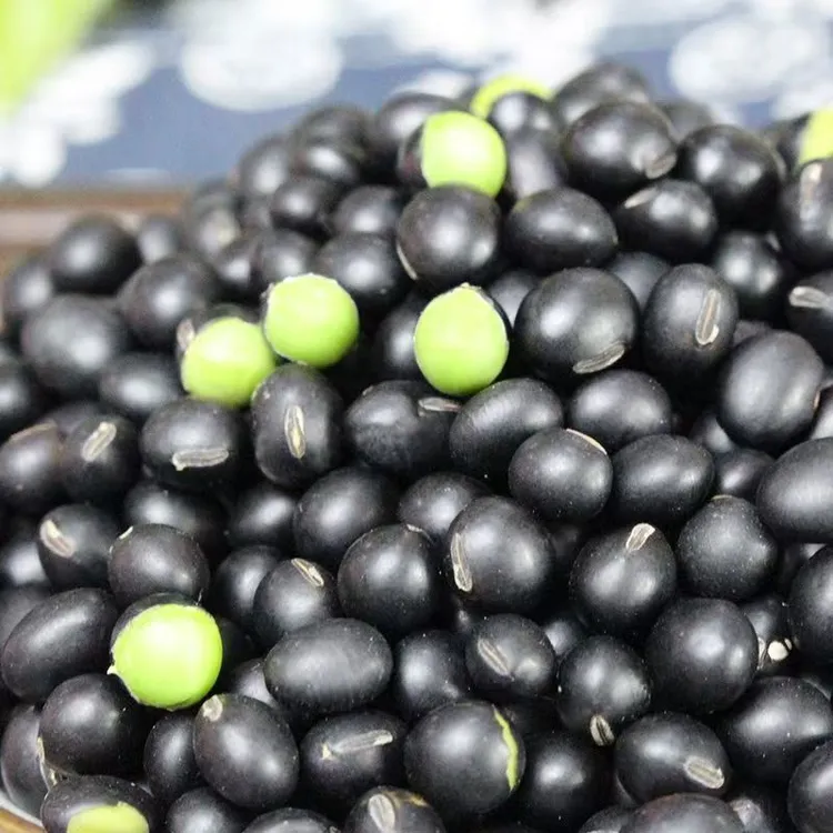 东北产黑龙江黑豆5斤装