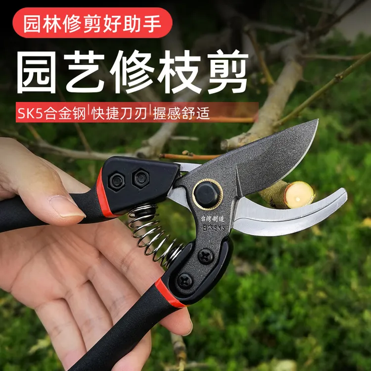 修枝剪剪刀果剪修剪枝果树家用修花剪刀省力专用树枝大号粗枝剪子