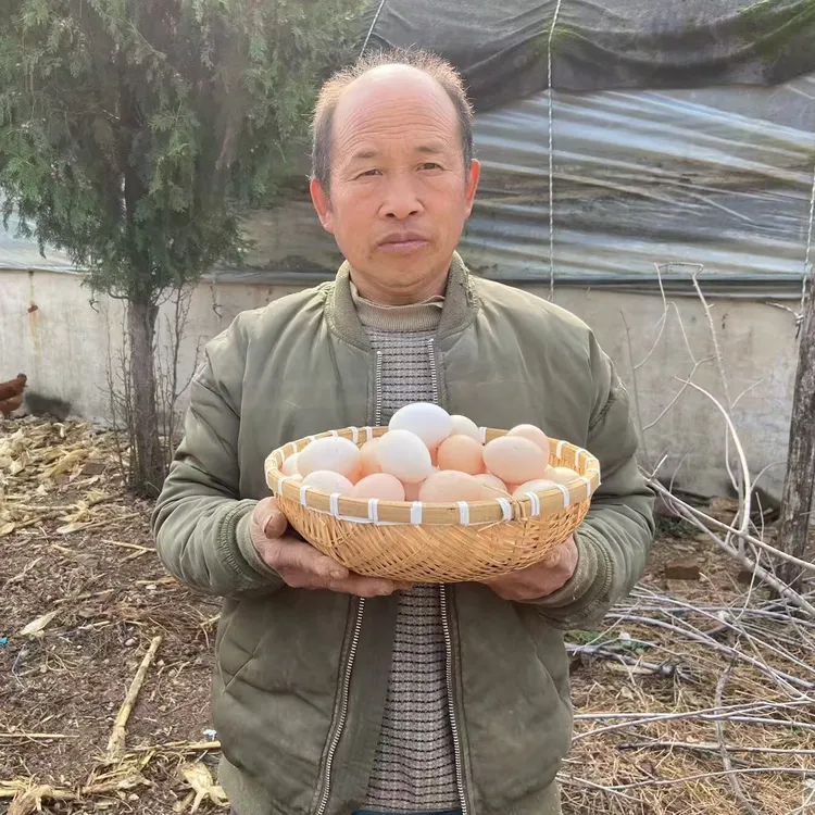 傻大妮散养土鸡蛋