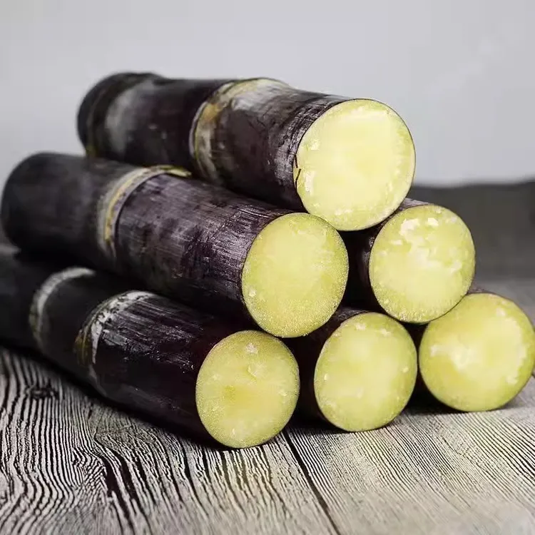 广西黑皮甘蔗新鲜水果榨汁削皮甘蔗切节整根应季柑蔗甜杆特产甘庶
