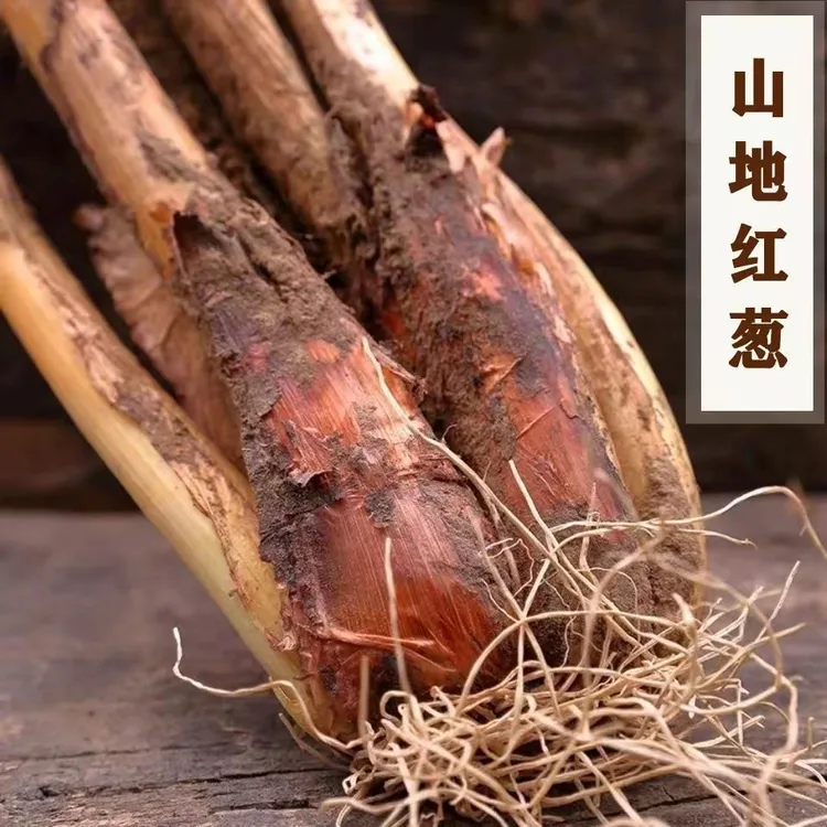 陕北农家山地自家红葱红皮葱新鲜汉地种植对头葱