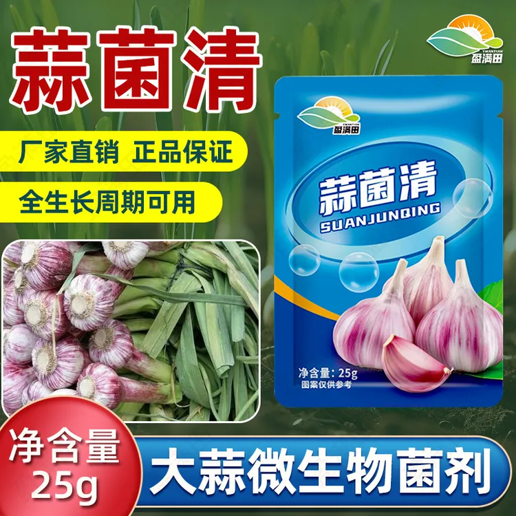 盈满田蒜菌清大蒜专用微生物菌剂生根养根壮苗提质高产