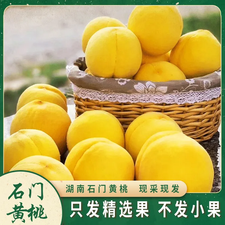 锦绣黄桃新鲜脆桃当天采摘精选套袋大果坏果包赔脆甜多汁礼盒装
