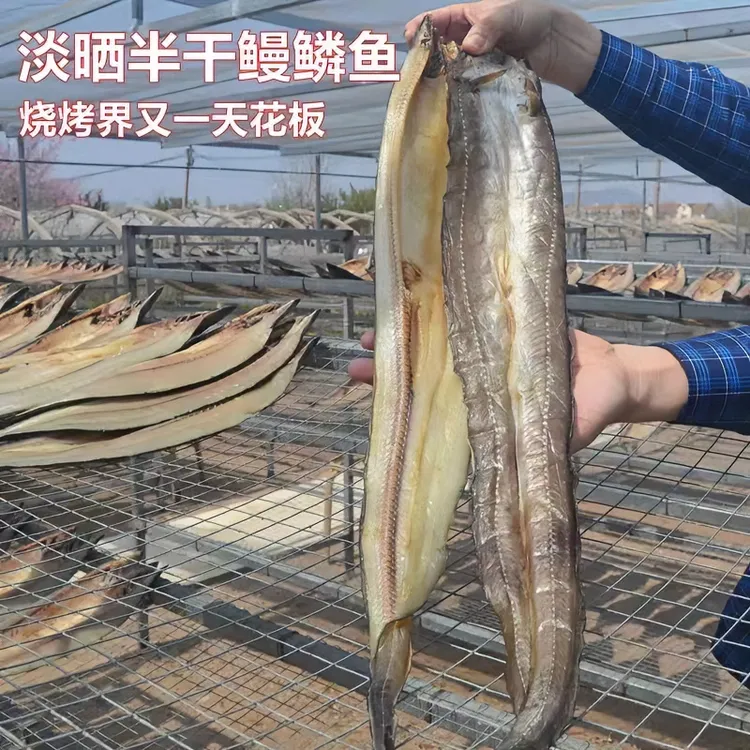 一卤鲜鳗鱼鱼干 自然风干晾晒淡盐不咸