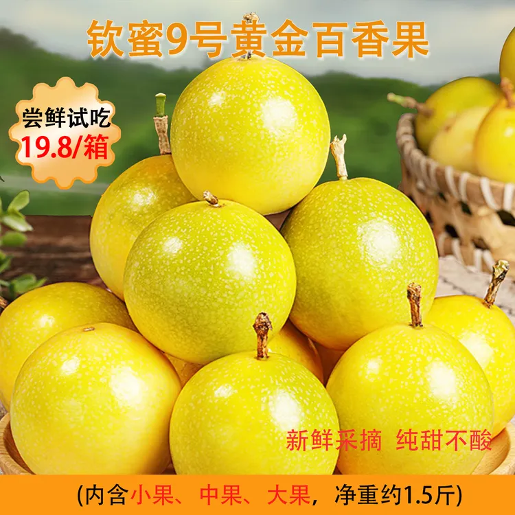 【尝鲜试吃】广西钦蜜9号百香果现摘包邮原产地香甜营养纯甜不酸