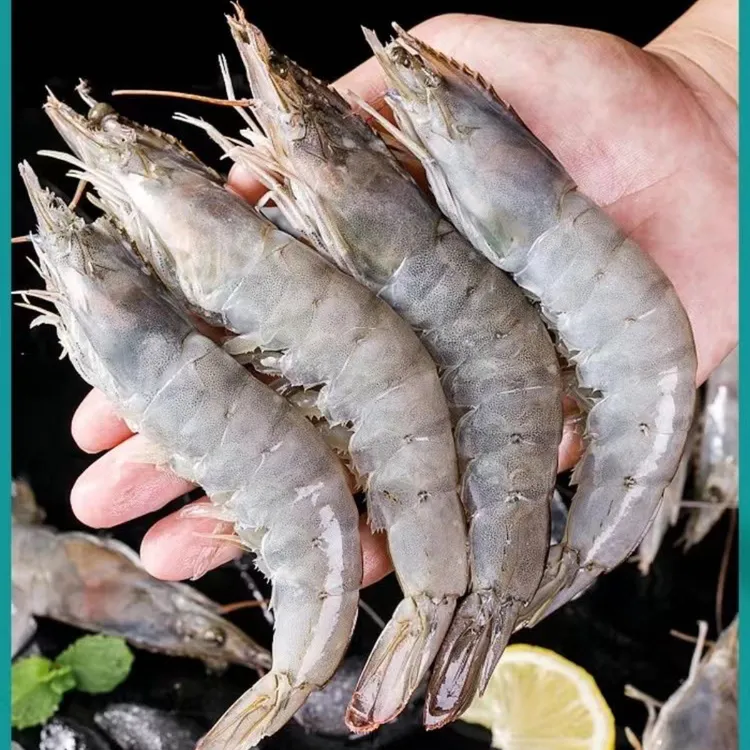【白大娘专属】30/40厄瓜多尔白虾新鲜鲜活速冻 肉质饱满 盐冻