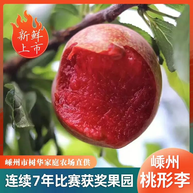 【嵊州桃形李】精选桃形李子正宗嵊州红心李子新鲜多汁时令水果