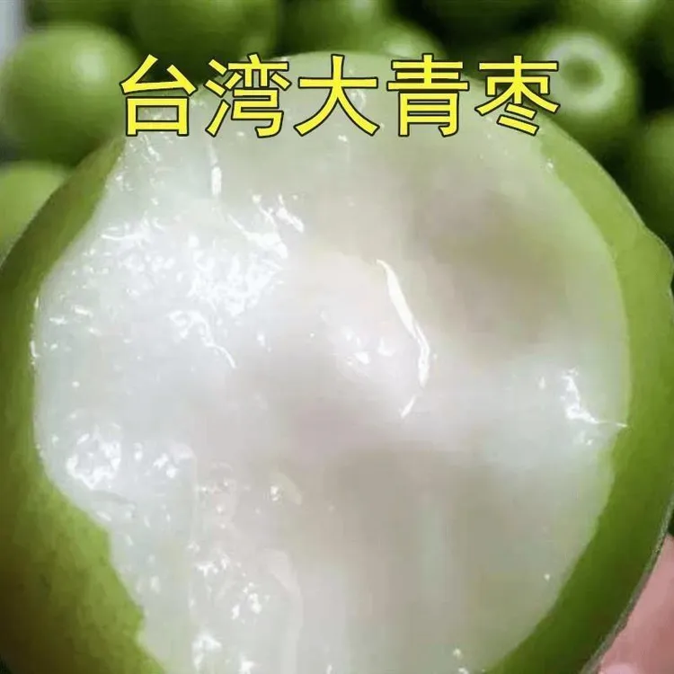 台湾牛奶特大青枣嫁接枣树苗贵妃蜜枣脆甜带土裸根多年生夏季清甜