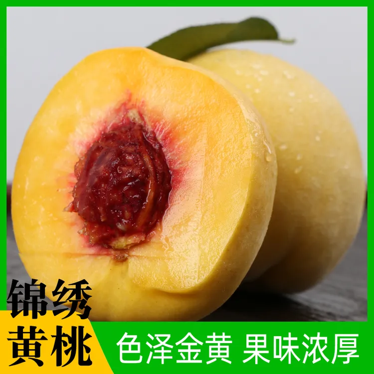 贵州锦绣黄桃孕妇水果脆甜现摘现发当季新鲜时令露天蜜桃毛桃5斤