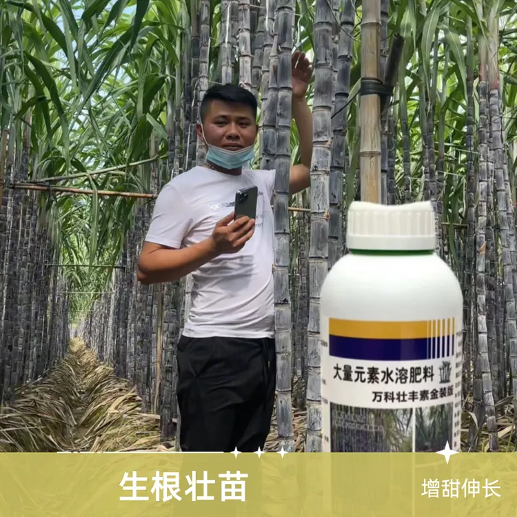 甘蔗专用万科壮丰素拉长猛长素果蔗膨大素增粗壮快速生长920拉长