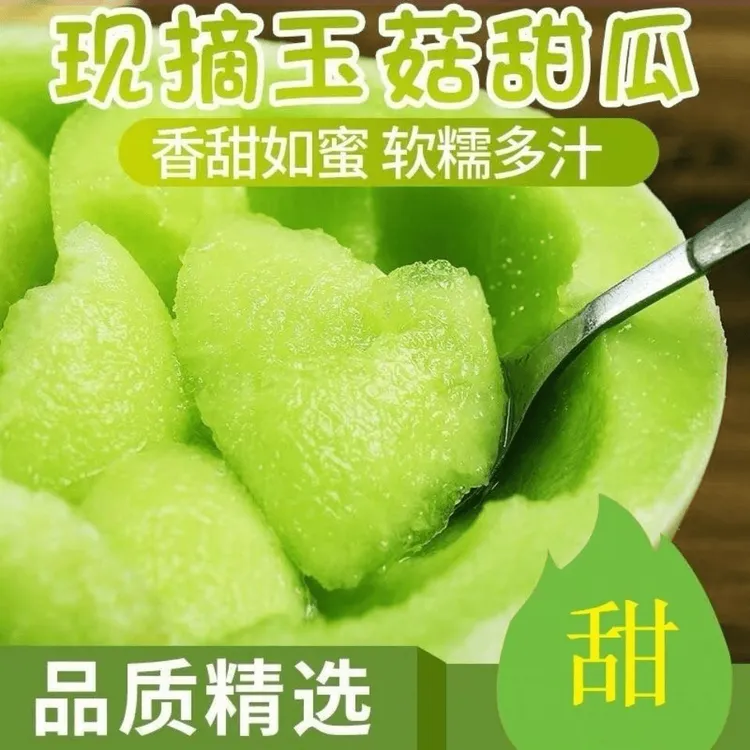 (送开瓜神器勺子)山东新下冰激凌玉菇甜瓜