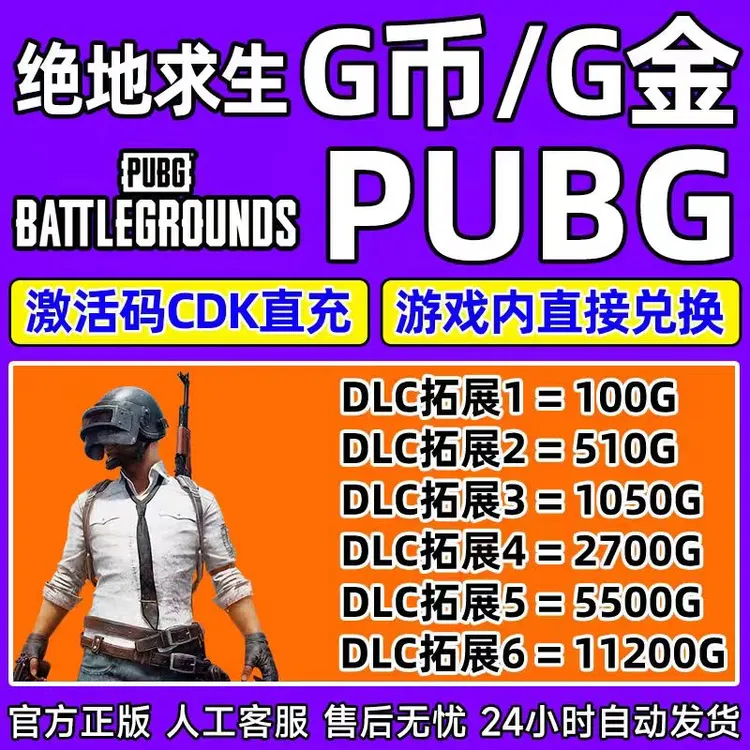 【自动秒发】PUBGG币CDKSteam绝地求生G-coin吃鸡皮肤金币端游pubg