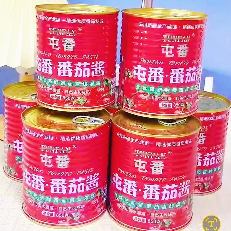 2025新疆原产屯番牌 番茄酱850g(买就送400克番茄丁一瓶)
