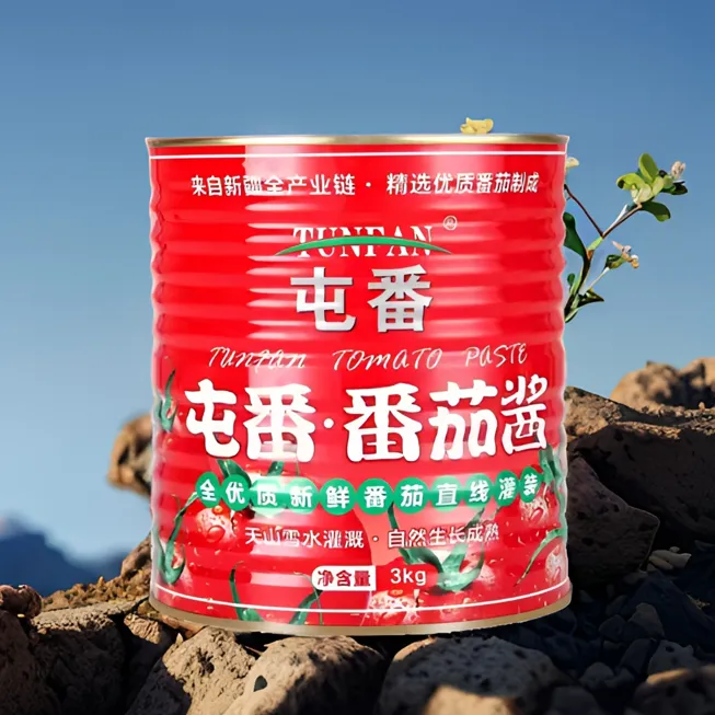 屯番番茄酱3kg  商用火锅专供（赠送400克番茄丁一桶）