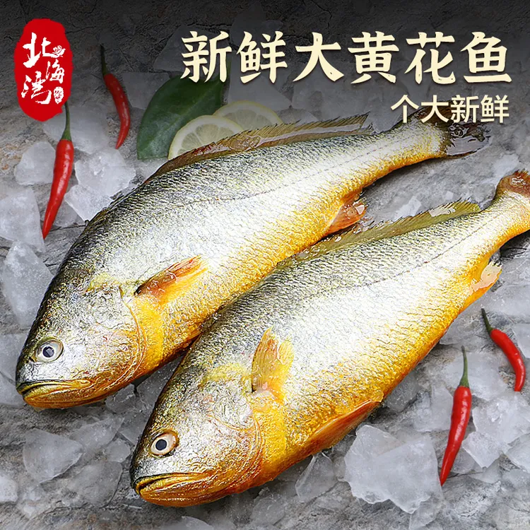 【破冰专属】北海湾黄花鱼新货新鲜水产福建宁德250g*6条