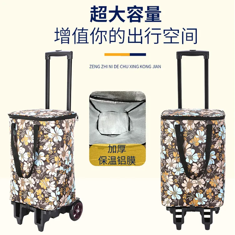 可伸缩折叠轻便手拉小拉车家用大容量便捷购物拉杆行李拉货爬楼车