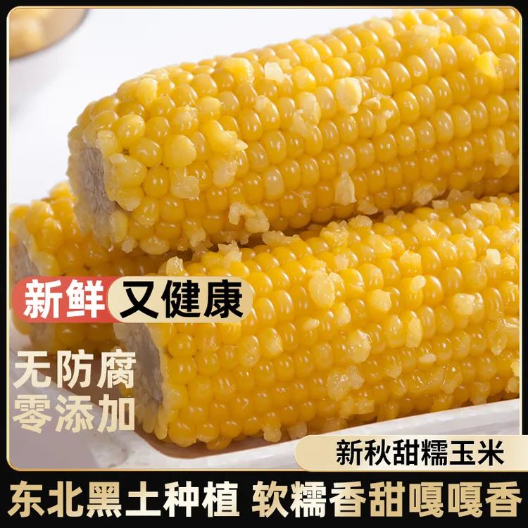 新秋东北黄糯玉米250g/棒×10棒真空锁鲜零添加