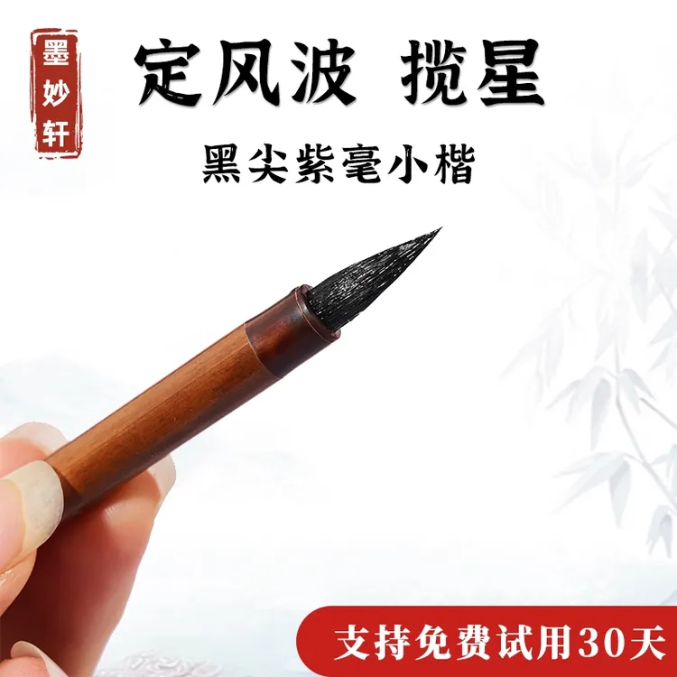 定风波揽星小楷毛笔黑尖小字适合小楷笔书法专用练字瘦金勾线用品