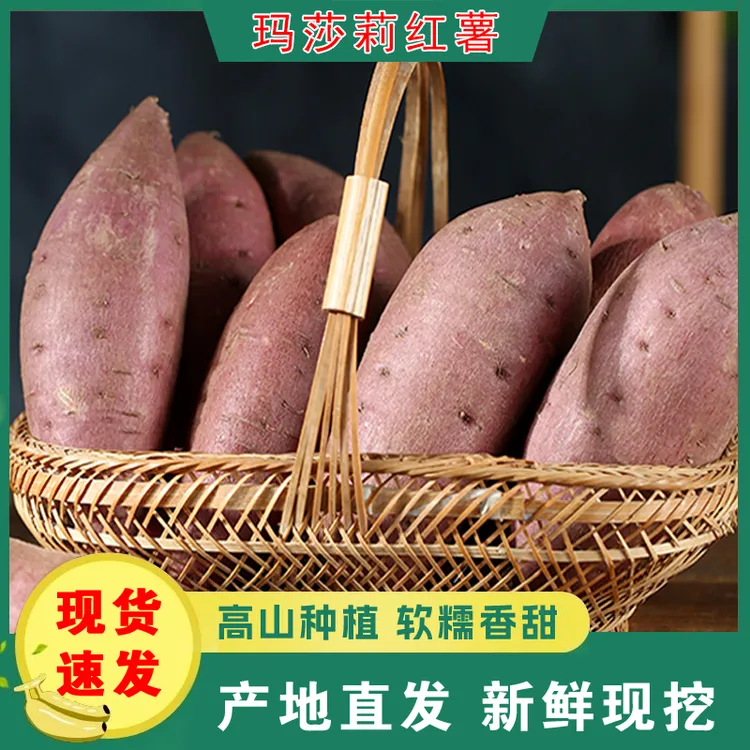 雨然康平地瓜净重五斤 玛莎莉红薯绿色食品认证 断果不赔