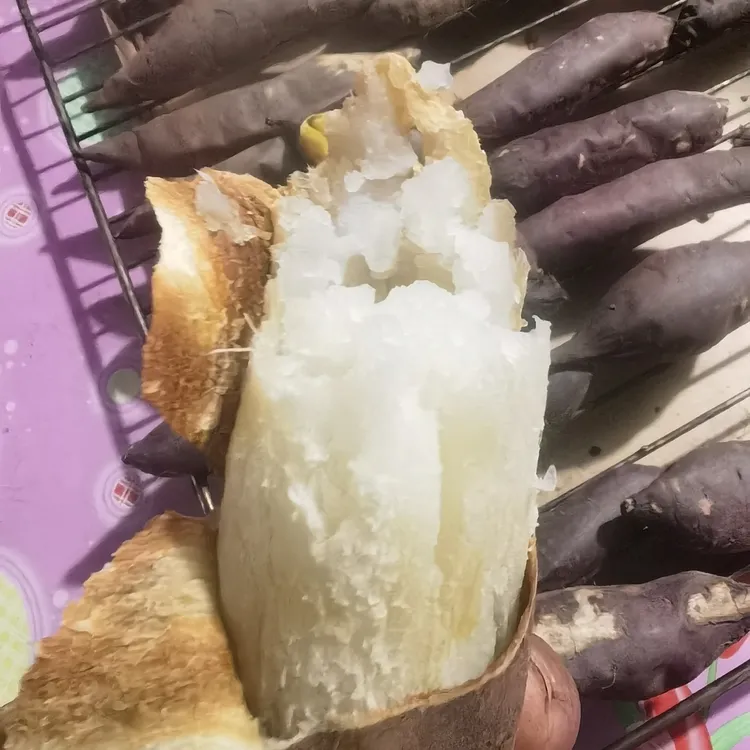 沈农专属雨然康平地瓜哈密冰糖心老品种地瓜5斤/份