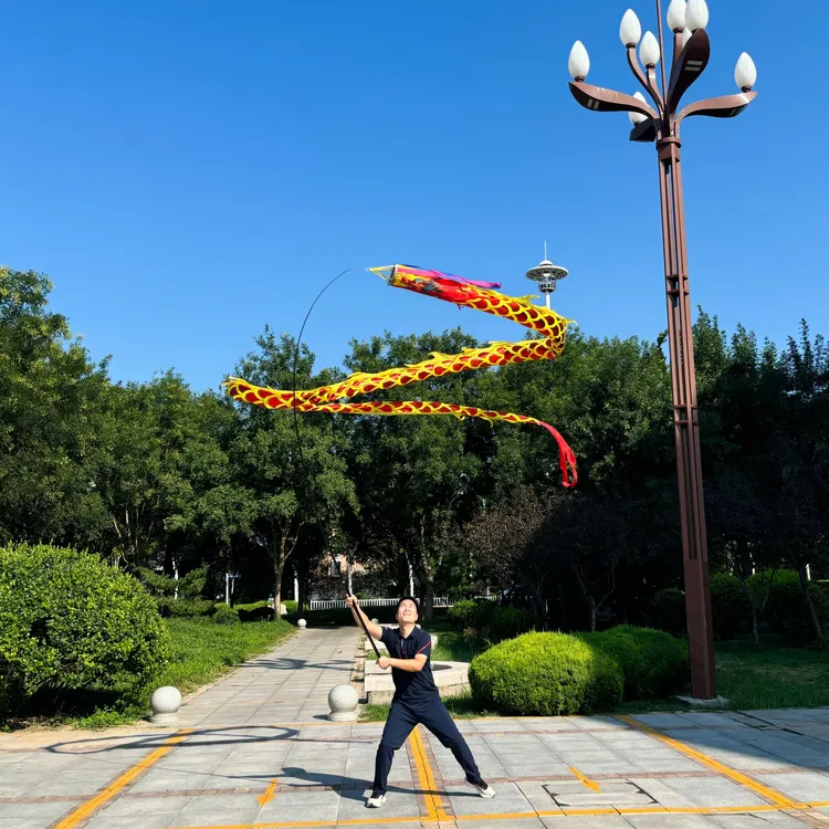 高端高杆龙升级款高碳素纤维碳钢杆伸缩杆高杆健身龙舞龙套装