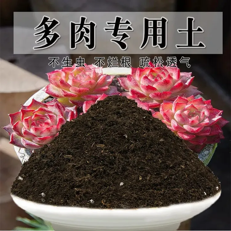 多肉专用土盆栽酸性土养花家用多肉营养土壤种植土有机肥料通用