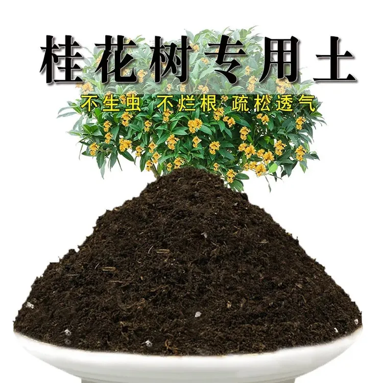 桂花树专用土盆栽花泥土营养土有机土肥料透气配方土壤种植土养花