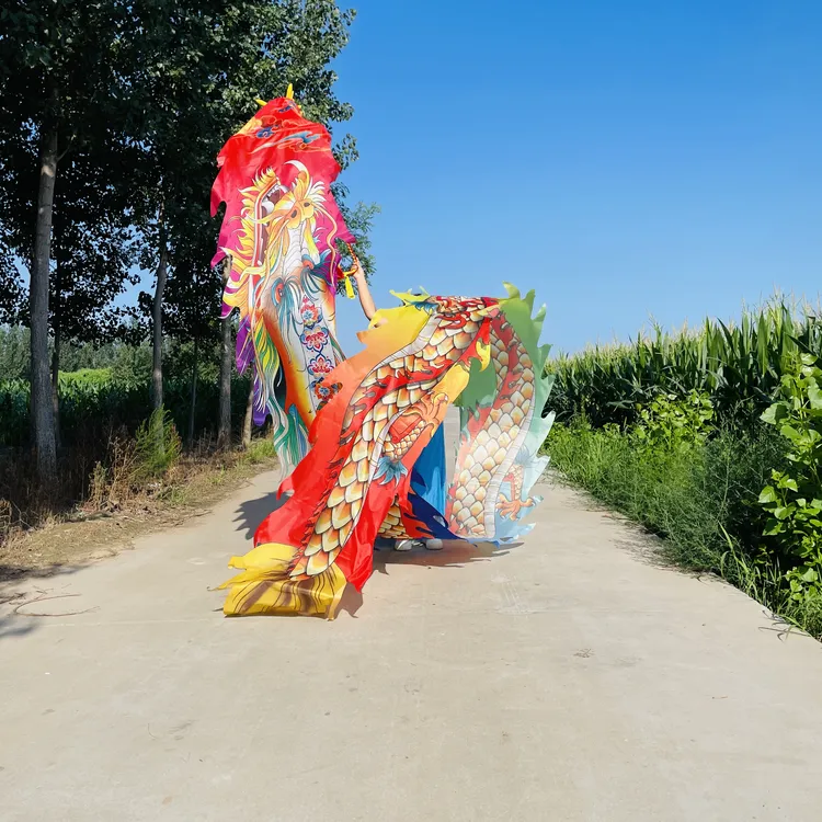 8号新款健身龙舞龙广场舞龙彩带彩绸可以水洗龙衣