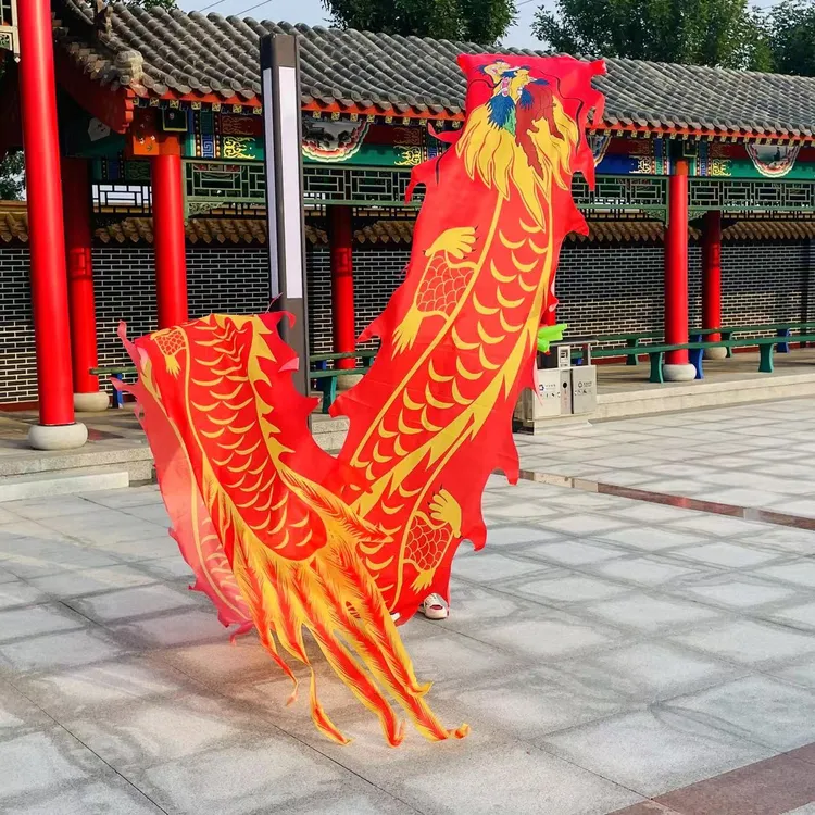 格曼彩绸一体可水洗霸王龙舞龙绸缎健身龙