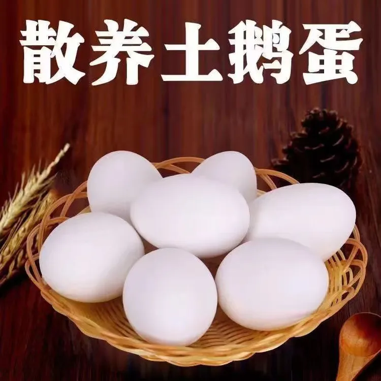 新鲜大白鹅新鲜雁鹅蛋大小鹅蛋12枚6枚农家散养新鲜破损包赔散养