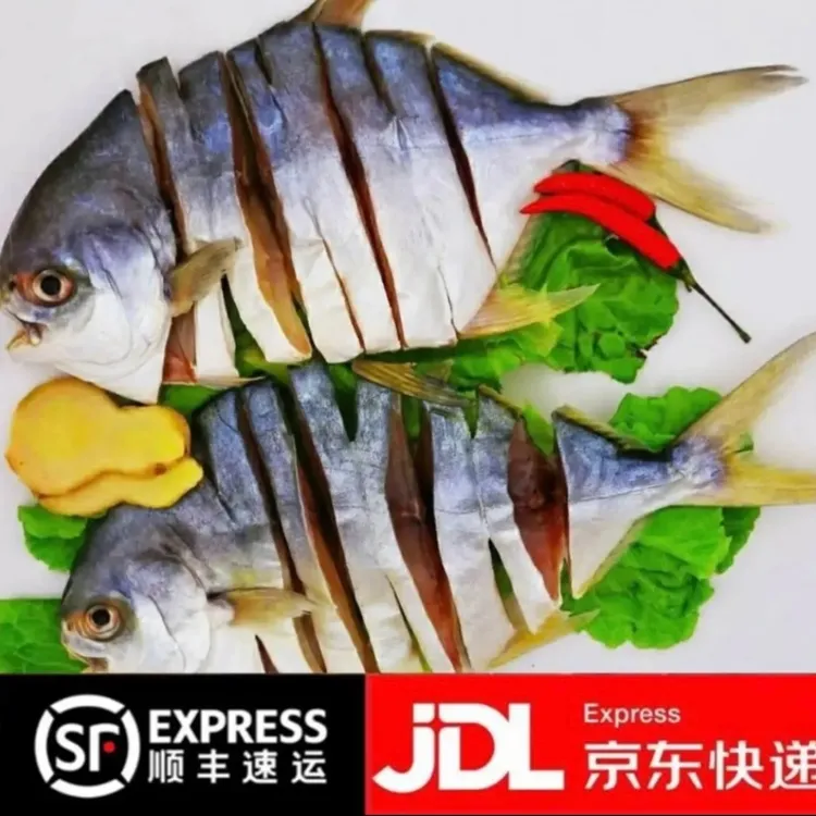 渔民自晒 阳江 金鲳鱼干 沙扒湾深海金鲳鱼干13条(1300克-1550克)