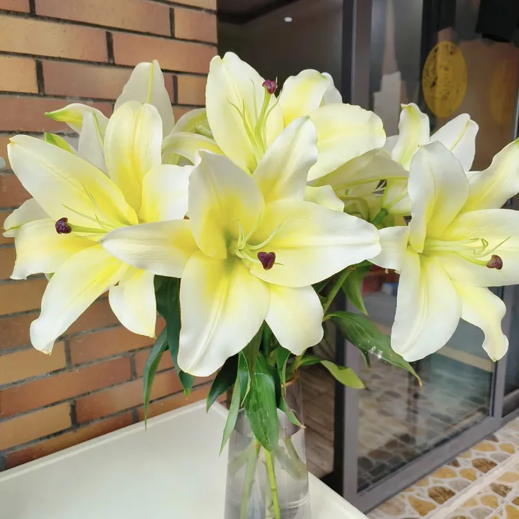 【黄天霸香水百合花】鹅黄色插花干净浪漫昆明直发日常插瓶养护修剪